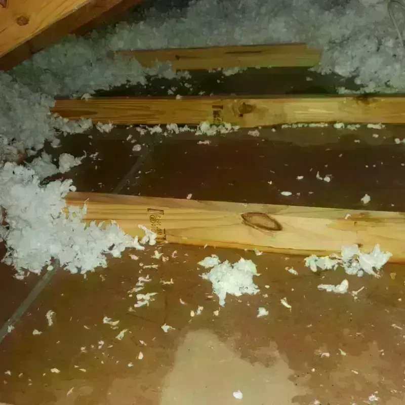 Attic Water Damage in Bystrom, CA