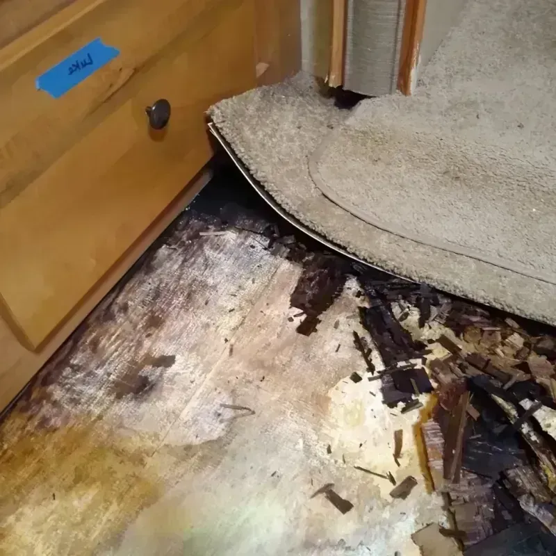 Wood Floor Water Damage in Bystrom, CA